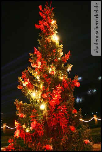 ac weihnachten 098 20090623 1548802985